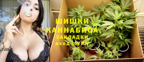 трава Алзамай