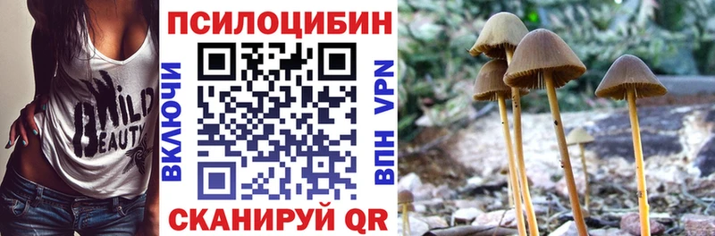Псилоцибиновые грибы Psilocybe Черемхово