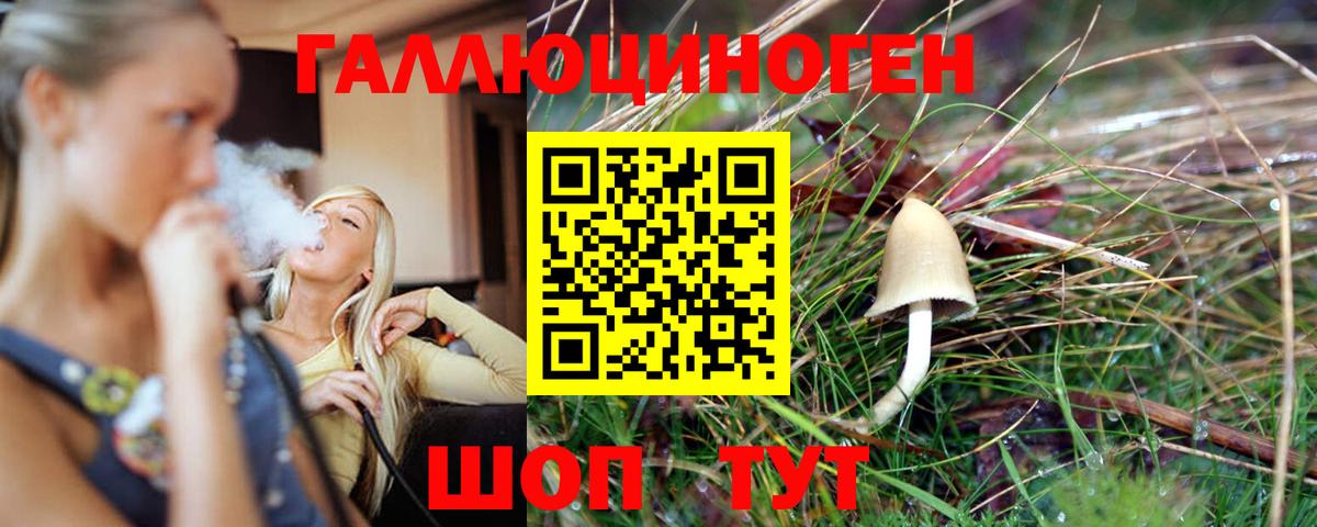 Черемхово  Псилоцибиновые грибы ЛСД  Вход с VPN 