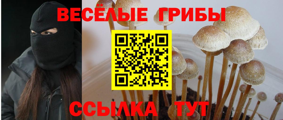 Галлюциногенные грибы мицелий Черемхово